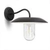 1-Light Black Solar Outdoor Barn Light Sconce with Dusk to Dawn by LUTEC