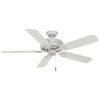 Ainsworth 54 in. Indoor Cottage White Ceiling Fan by Casablanca