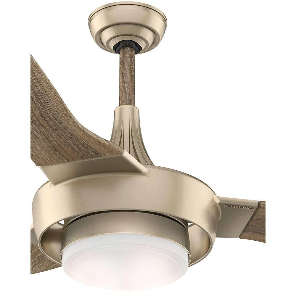Perseus 64 in. LED Indoor/Outdoor Metallic Sunsand Ceiling Fan by Casablanca 6 Perseus 64 in. LED Indoor/Outdoor Metallic Sunsand Ceiling Fan by Casablanca - Image 4