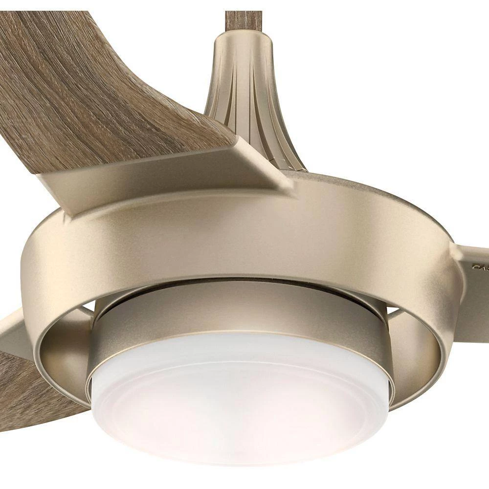 Perseus 64 in. LED Indoor/Outdoor Metallic Sunsand Ceiling Fan by Casablanca 8 Perseus 64 in. LED Indoor/Outdoor Metallic Sunsand Ceiling Fan by Casablanca - Image 6
