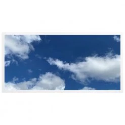 Cloud Design Elite Series 2 ft. x 4 ft. 49 Watt Dimmable 6370 Lumens Integrated LED Flat Panel Light 6000K (4-Pack) by BEYOND LED TECHNOLOGY 10 Cloud Design Elite Series 2 ft. x 4 ft. 49 Watt Dimmable 6370 Lumens Integrated LED Flat Panel Light 6000K (4-Pack) by BEYOND LED TECHNOLOGY -Deals BEYOND LED TECHNOLOGY Store silver beyond led technology led panel lights 152541 1 4f 1000