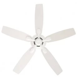 Utopian 52 in. Indoor/Outdoor Snow White Ceiling Fan by Casablanca -Deals BEYOND LED TECHNOLOGY Store snow white casablanca ceiling fans without lights 54037 c3 1000