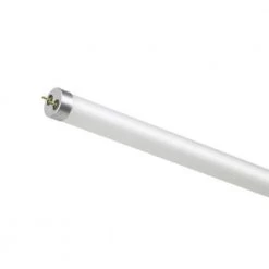 150-Watt Equivalence T8 Tube LED Bulb in Bright White 5000K 4 ft. 2724 Lumens Frosted Type B Single and Double (25-Pack) by BEYOND LED TECHNOLOGY -Deals BEYOND LED TECHNOLOGY Store white beyond led technology led tube lights 153482 1 44 1000