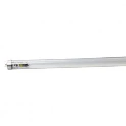 150-Watt Equivalence 4 ft. T8 Tube Clear Type B Single and Double LED Light Bulb in Bright White 6500K (25-Pack) by BEYOND LED TECHNOLOGY -Deals BEYOND LED TECHNOLOGY Store white beyond led technology led tube lights 153483 1 1f 1000